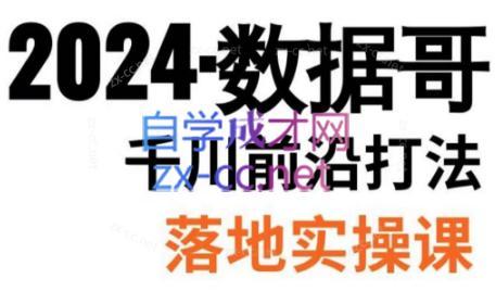 数据哥·2024年千川前沿打法落地实操课-金易项目网
