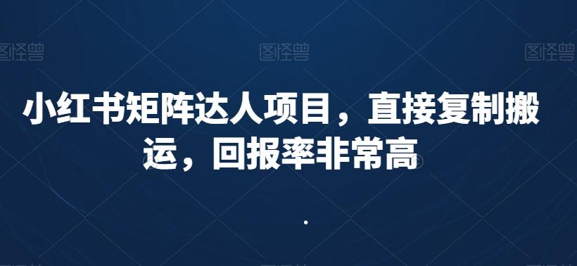 小红书矩阵达人项目，直接复制搬运，回报率非常高-金易项目网