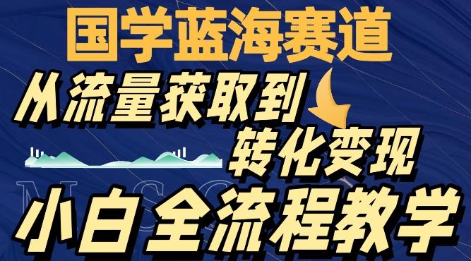 国学蓝海赛道，从流量获取，到转化变现，全流程教学-金易项目网