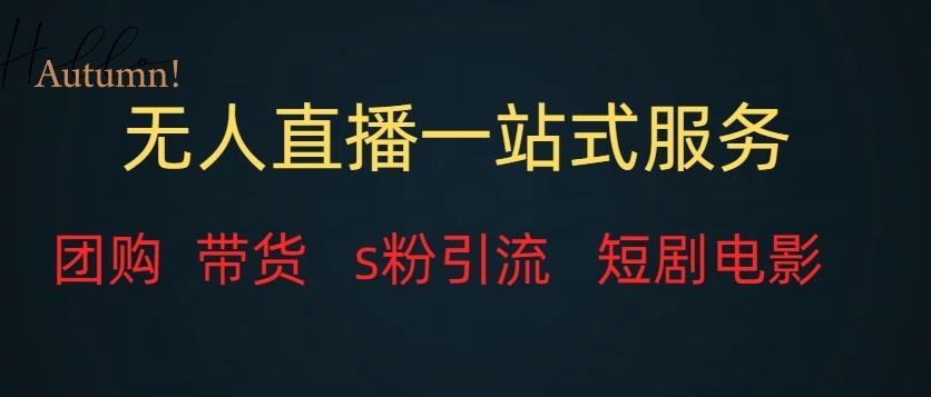 无人直播一站式服务（教程以及变现方式）-金易项目网