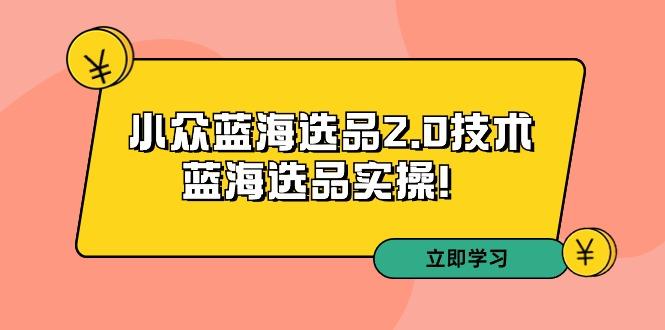 拼多多培训第33期：小众蓝海选品2.0技术-蓝海选品实操！-金易项目网