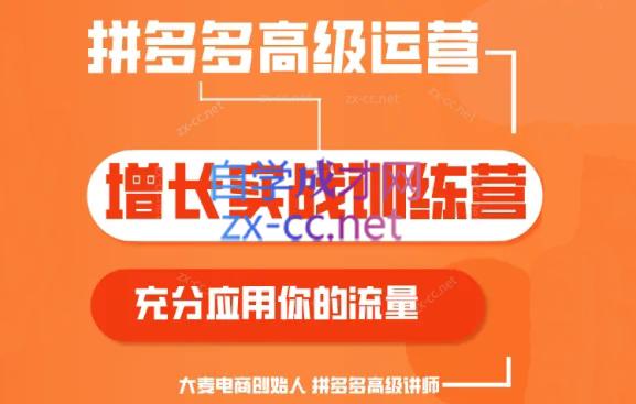 大麦老师·拼多多单品爆款打造课程(更新6月)-金易项目网