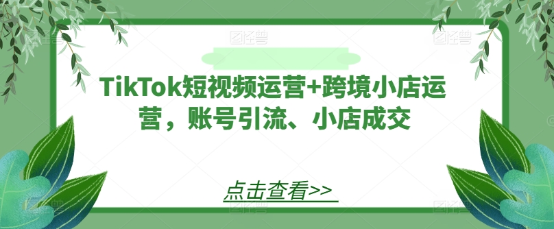 TikTok短视频运营+跨境小店运营，账号引流、小店成交-金易项目网