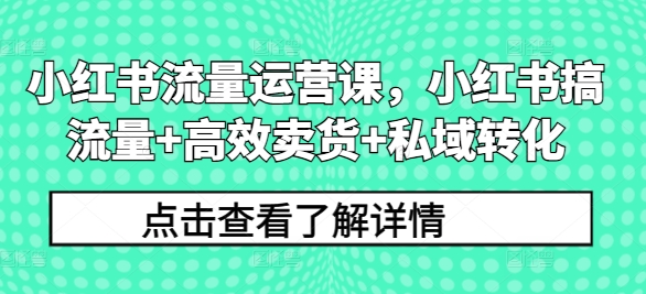 小红书流量运营课，小红书搞流量+高效卖货+私域转化-金易项目网
