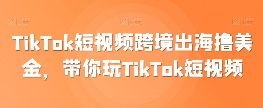 TikTok短视频跨境出海撸美金，带你玩TikTok短视频-金易项目网