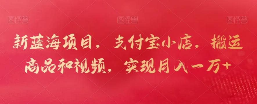 新蓝海项目，支付宝小店，搬运商品和视频，实现月入一万+【揭秘】-金易项目网