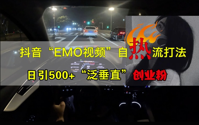 抖音EMO视频自热打法，日引500+“泛垂直”创业粉-金易项目网