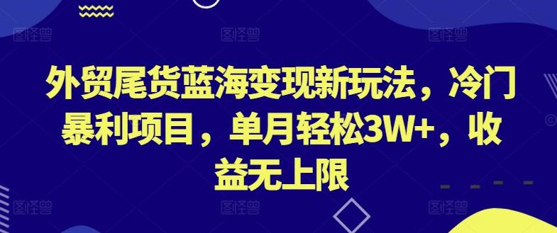 外贸尾货蓝海变现新玩法，冷门暴利项目，单月轻松3W+，收益无上限【揭秘】-金易项目网