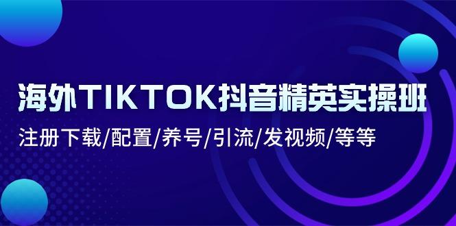 海外TIKTOK抖音精英实操班：注册下载/配置/养号/引流/发视频/等等-金易项目网