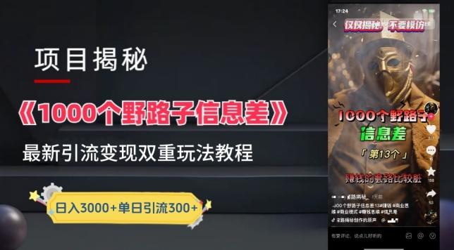 一千个野路子信息差最新玩法教程-变现+引流的玩法具体拆解【揭秘】-金易项目网