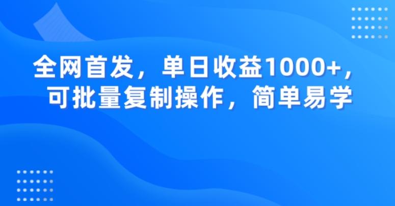 全网首发，单日收益1000+，可批量复制操作，简单易学【揭秘】-金易项目网
