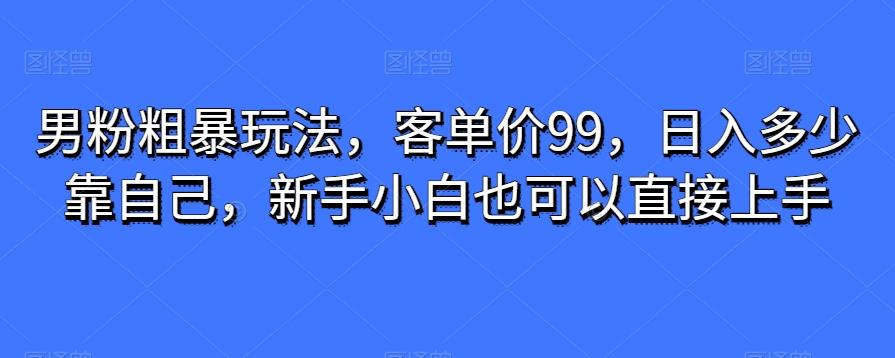 男粉粗暴玩法，客单价99，日入多少靠自己，新手小白也可以直接上手-金易项目网