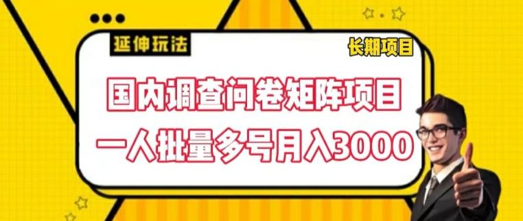国内调查问卷矩阵项目，一人批量多号月入3000【揭秘】-金易项目网