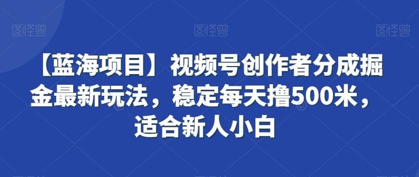 【蓝海项目】视频号创作者分成掘金最新玩法，稳定每天撸500米，适合新人小白【揭秘】-金易项目网