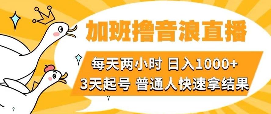 加班撸音浪直播，每天两小时，日入1000+，直播话术才3句，3天起号，普通人快速拿结果【揭秘】-金易项目网