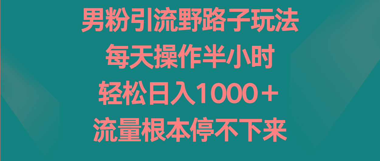 男粉引流野路子玩法，每天操作半小时轻松日入1000＋，流量根本停不下来-金易项目网