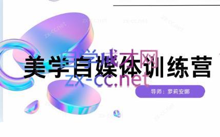 安娜·美学自媒体IP系统课-金易项目网