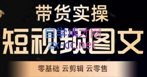 鑫哥·2024零基础短视频带货实操营-金易项目网