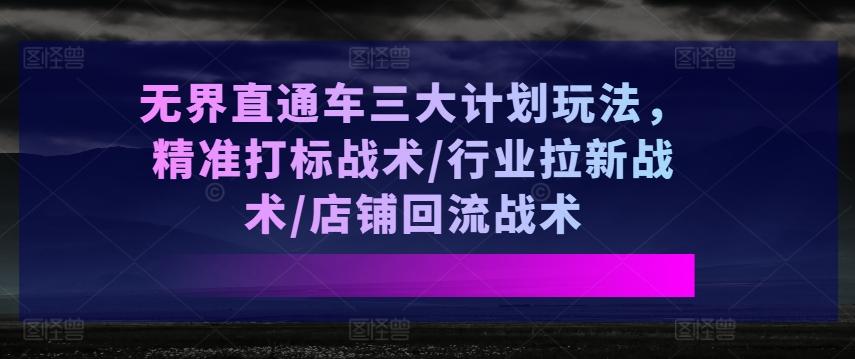 无界直通车三大计划玩法，精准打标战术/行业拉新战术/店铺回流战术-金易项目网