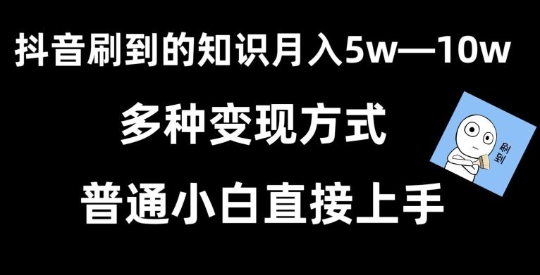 抖音刷到的知识，每天只需2小时，日入2000+，暴力变现，普通小白直接上手【揭秘】-金易项目网