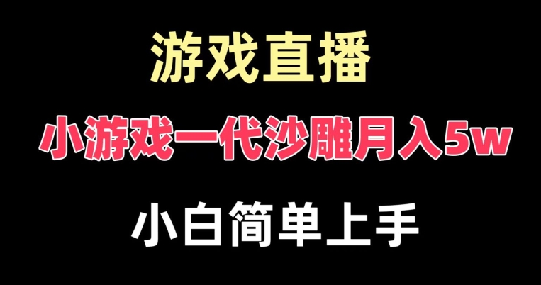 玩小游戏一代沙雕月入5w，爆裂变现，快速拿结果，高级保姆式教学【揭秘】-金易项目网