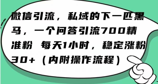 怎么搞精准创业粉？微信新赛道，每天一小时，利用Ai一个问答日引100精准粉-金易项目网