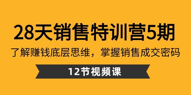 28天销售特训营5期：了解赚钱底层思维，掌握销售成交密码（12节课）-金易项目网