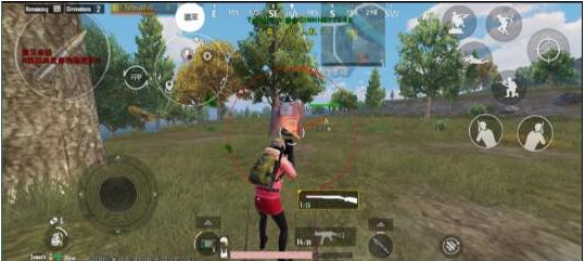 pubg3.3狼王公益直装 v6-金易项目网