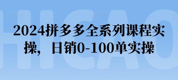 2024拼多多全系列课程实操，日销0-100单实操【必看】-金易项目网