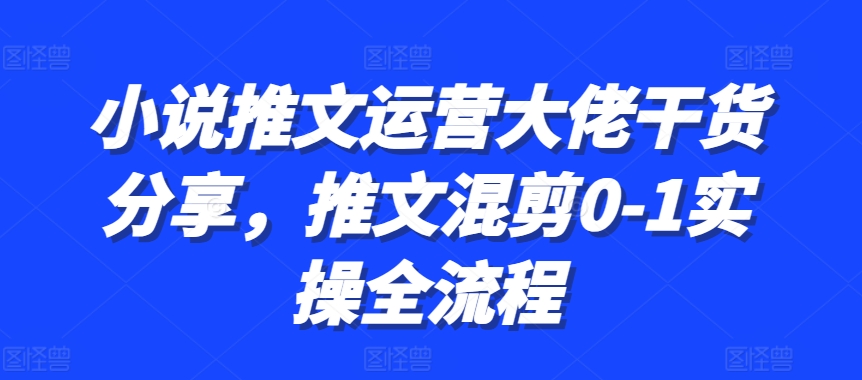小说推文运营大佬干货分享，推文混剪0-1实操全流程-金易项目网