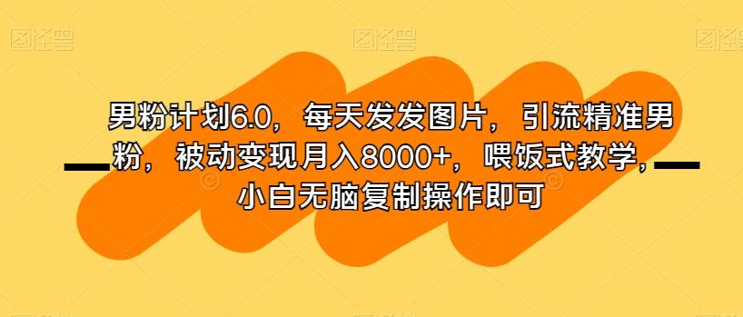 男粉计划6.0，每天发发图片，引流精准男粉，被动变现月入8000+，喂饭式教学，小白无脑复制操作即可-金易项目网