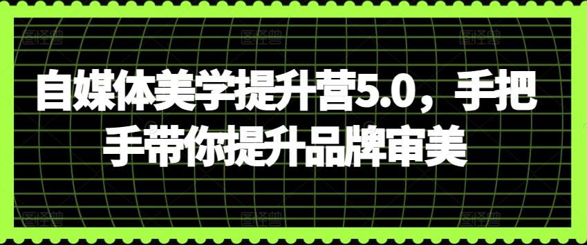 自媒体美学提升营5.0，手把手带你提升品牌审美-金易项目网
