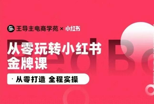 王导主·小红书电商运营实操课，​从零打造  全程实操-金易项目网
