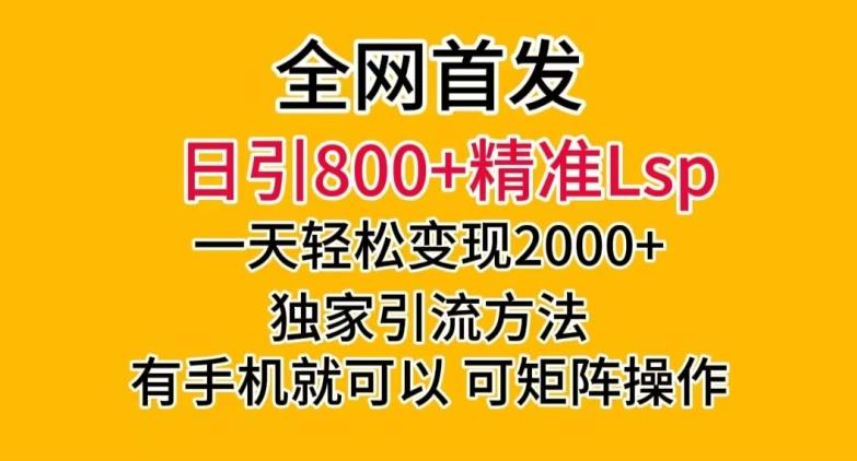 全网首发！日引800+精准老色批，一天变现2000+，独家引流方法，可矩阵操作【揭秘】-金易项目网