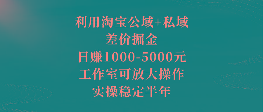 利用淘宝公域+私域差价掘金，日赚1000-5000元，工作室可放大操作，实操…-金易项目网