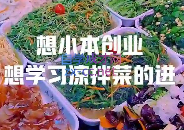 李记·精品凉拌菜系列热卤系列教程-金易项目网