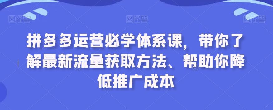 拼多多运营必学体系课，带你了解最新流量获取方法、帮助你降低推广成本-金易项目网