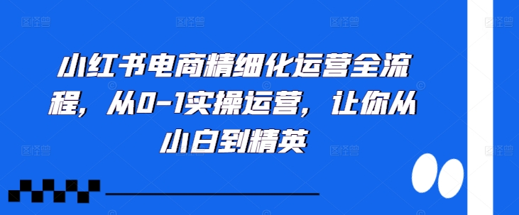 小红书电商精细化运营全流程，从0-1实操运营，让你从小白到精英-金易项目网