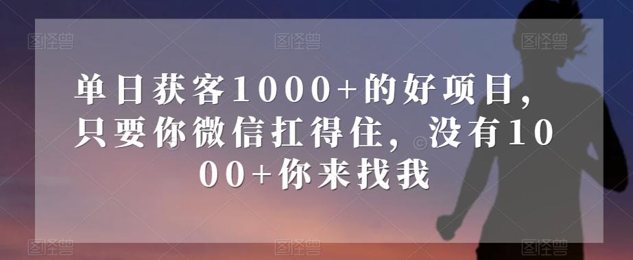 单日获客1000+的好项目，只要你微信扛得住，没有1000+你来找我【揭秘】-金易项目网