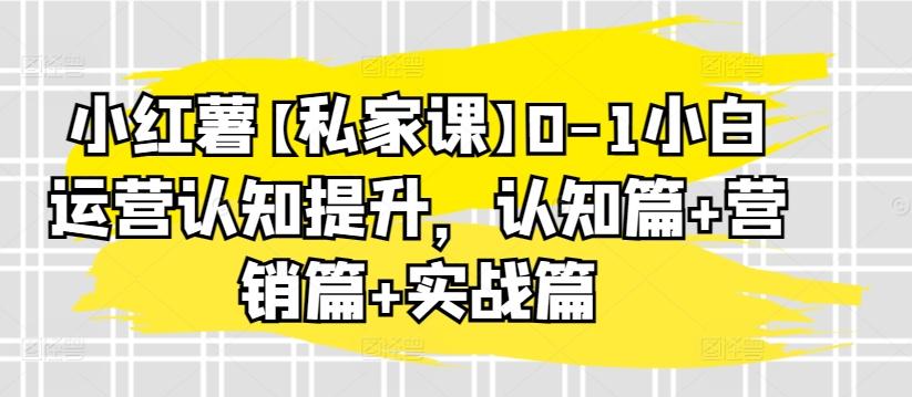 小红薯【私家课】0-1小白运营认知提升，认知篇+营销篇+实战篇-金易项目网