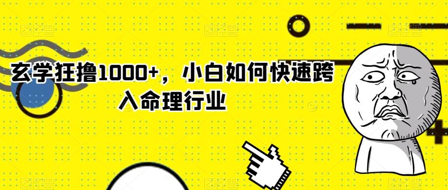 玄学狂撸1000+，小白如何快速跨入命理行业-金易项目网