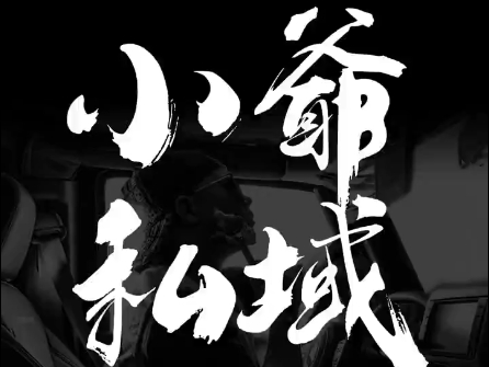 小爷·私域项目操盘手-金易项目网