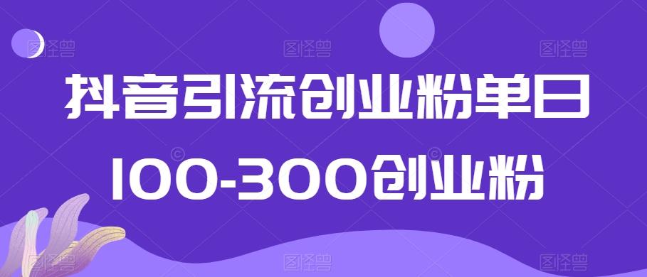 抖音引流创业粉单日100-300创业粉【揭秘】-金易项目网