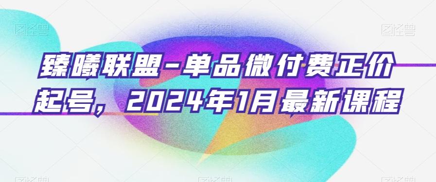 臻曦联盟-单品微付费正价起号，2024年1月最新课程-金易项目网