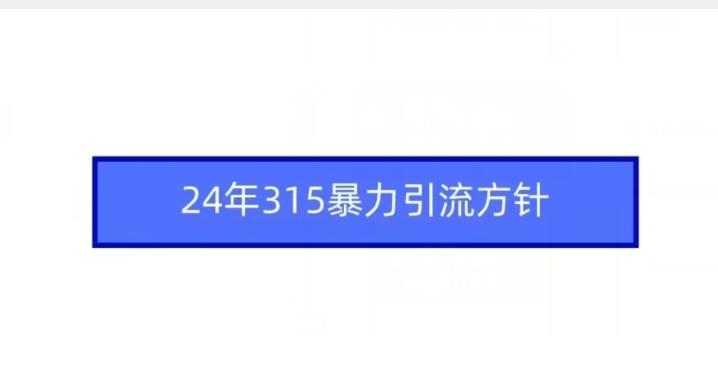 24年315暴力引流方针-金易项目网