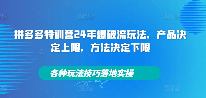 拼多多特训营24年爆破流玩法，产品决定上限，方法决定下限，各种玩法技巧落地实操-金易项目网