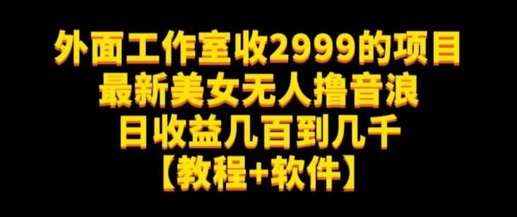 外面工作室收2999的项目最新美女无人撸音浪日收益几百到几千【教程+软件】（仅揭秘）-金易项目网