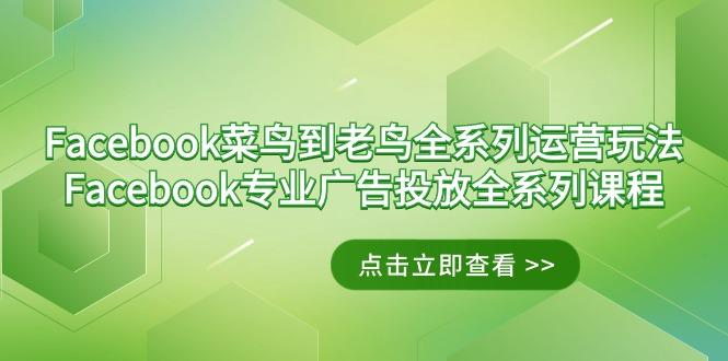Facebook-菜鸟到老鸟全系列运营玩法+Facebook-专业广告投放全系列课程-金易项目网