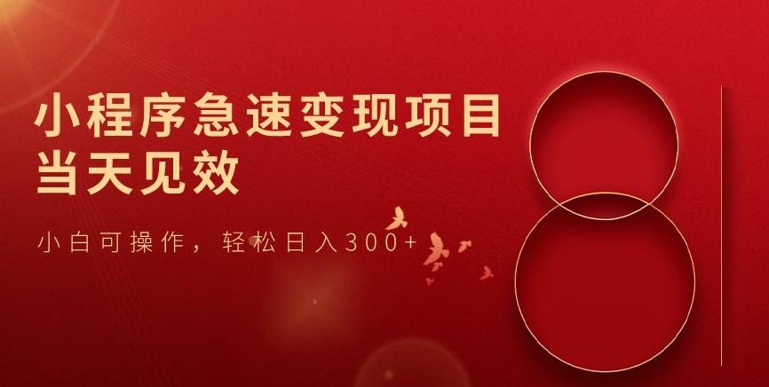 小程序急速变现项目，当天见效，小白可操作，轻松日入300+-金易项目网
