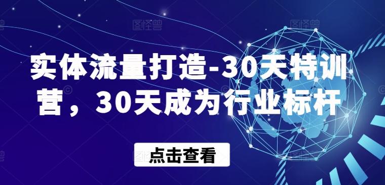 实体流量打造-30天特训营，30天成为行业标杆-金易项目网